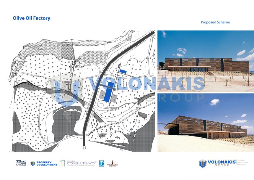 investment proposal olive factory7